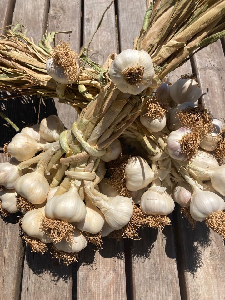 Beyaz Altın Taşköprü Sarımsağı 1kg