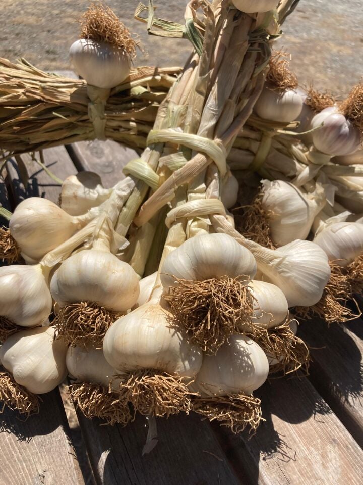 Beyaz Altın Taşköprü Sarımsağı 1kg