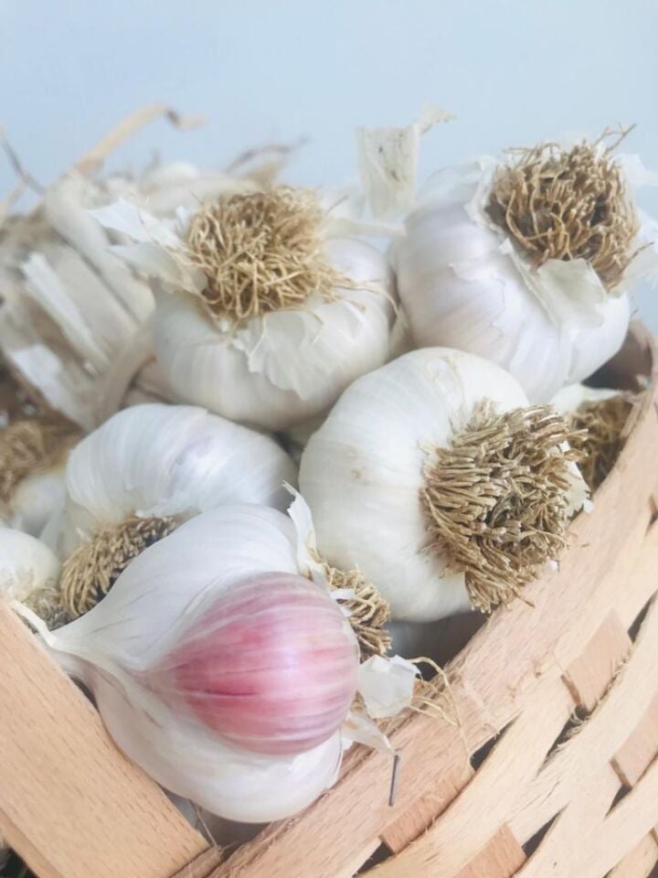 Beyaz Altın Taşköprü Sarımsağı 1kg