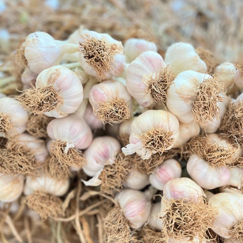 Beyaz Altın Taşköprü Sarımsağı 1kg