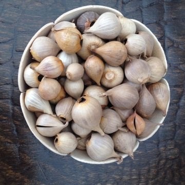 Siyah Sarımsak Tek Diş Mürdük 150g