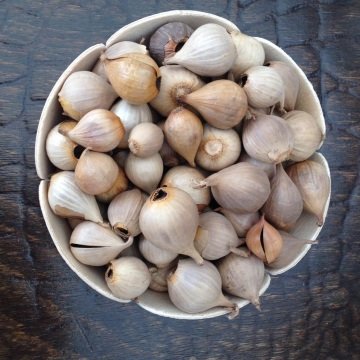 Siyah Sarımsak Tek Diş Mürdük 150g