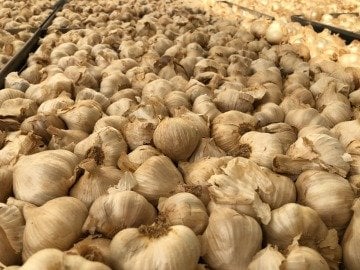 Siyah Sarımsak Baş Taşköprü 500g