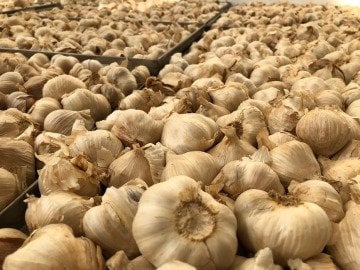 Siyah Sarımsak Baş Taşköprü 500g