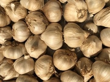 Siyah Sarımsak Baş Taşköprü 1 kg